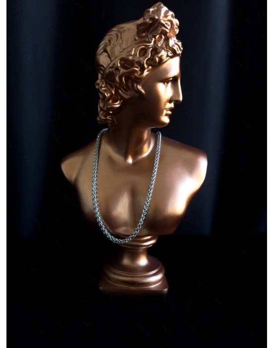 Burgu Model Çelik Zincir Kolye | Sirius Serisi