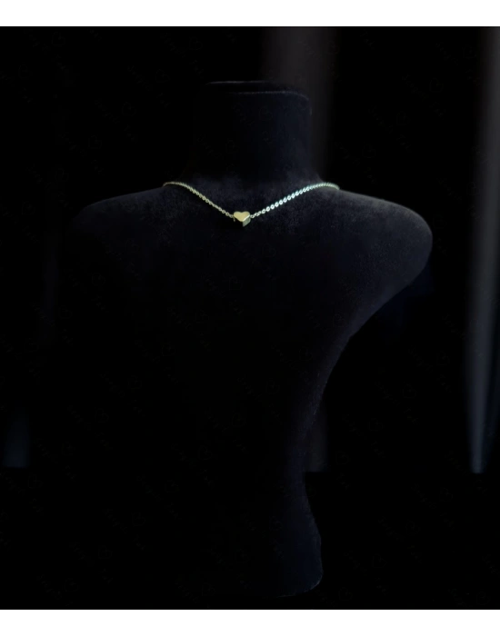 Kalp Charmlı Çelik Kolye | Vega Serisi