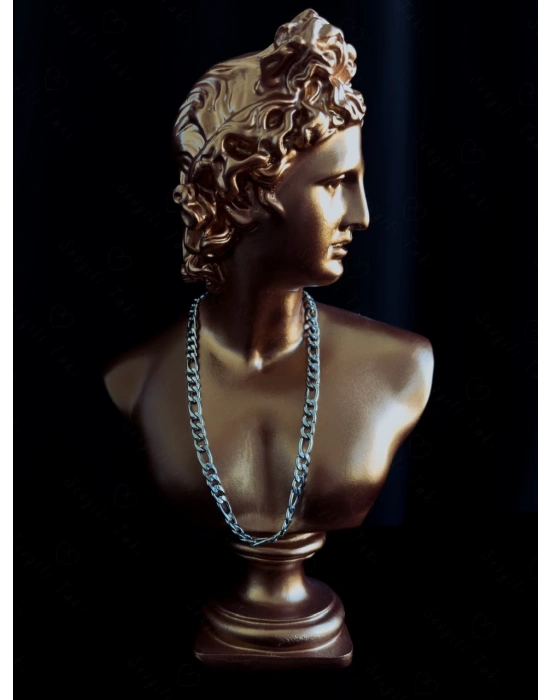 Figaro Model Çelik Zincir Kolye | Vega Serisi