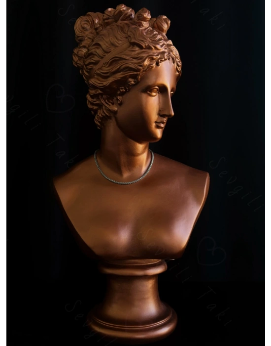 Burgu Model Choker Çelik Zincir Kolye- Choker Serisi