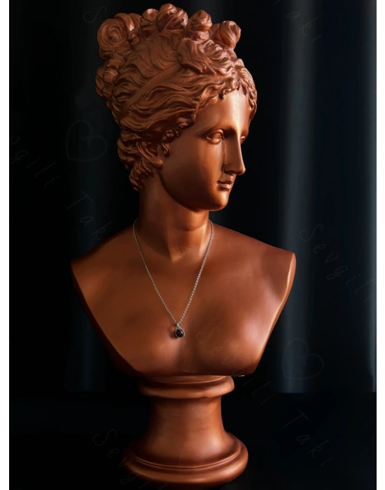 Granat Doğal Taşlı Çelik Kolye -Sirius Serisi