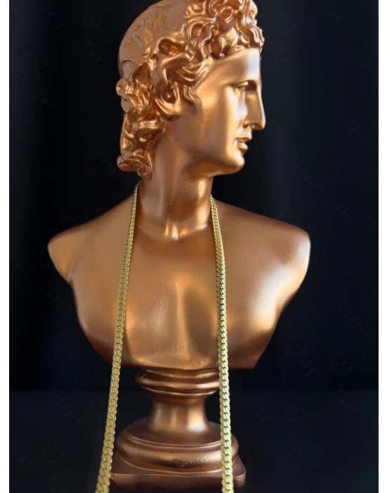 Yassı Model Snake Yılan Gold Çelik Zincir Kolye | 1+ Serisi