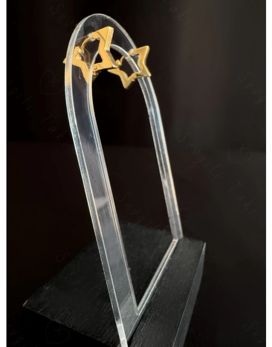 Yıldız Figürlü Çelik Küpe -Lotus Serisi