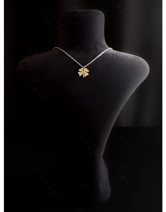 Yonca Charmlı Çelik Kolye -Miracle Serisi