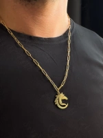 Paperclip(Ataş) Model Zincir At Charmlı Gold Çelik Kolye | Ata Serisi