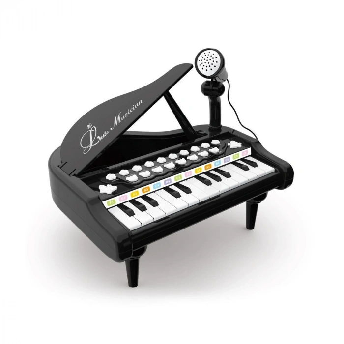 BAO-1505A Mikrofonlu Mini Piano 24 Tuş MP3 Çalar