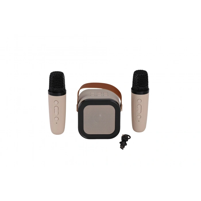 EMR-102 KUTULU 2Lİ KARAOKE MİKROFON