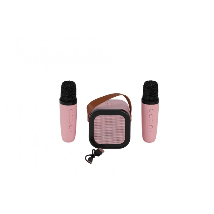 EMR-102 KUTULU 2Lİ KARAOKE MİKROFON