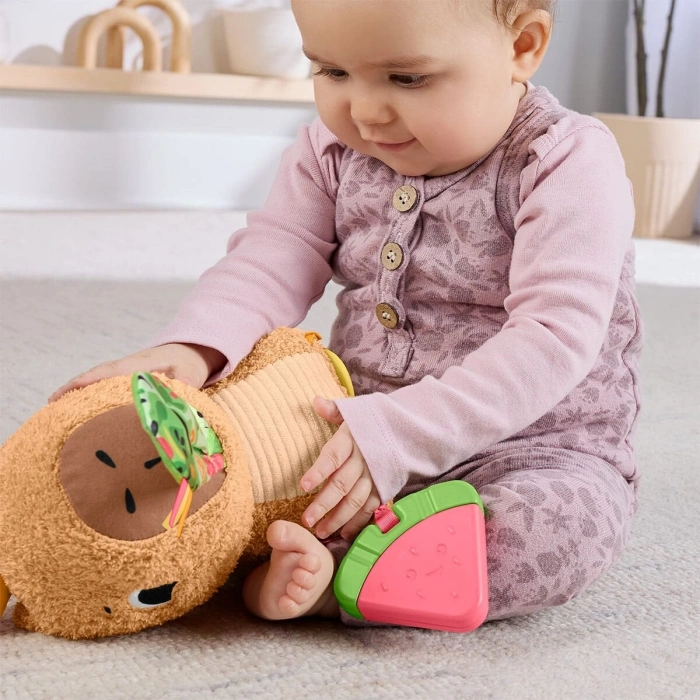 HYR54 FFisher-Price Yumuşak Kapibara