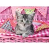 129850 Cute Kitty 100 parça XXL Ravensburger Puzzle