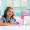 JMJ47 Barbie Malibu Sınırsız Macera