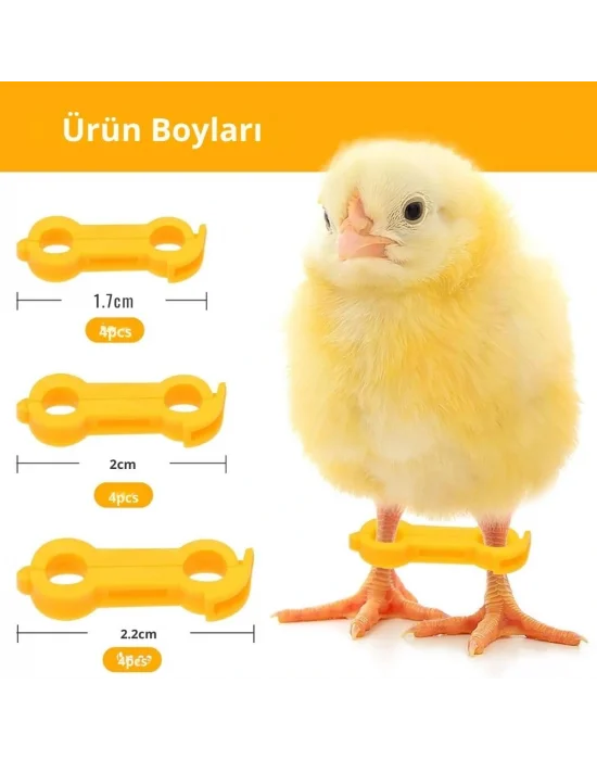 12 Adet Civciv Ayak Düzenleyici Aparat | Yeni Doğan Civcivlerde Ayrık Ayak Düzeltici, Kümes Hayvanı Yürüme Denge Aparatı