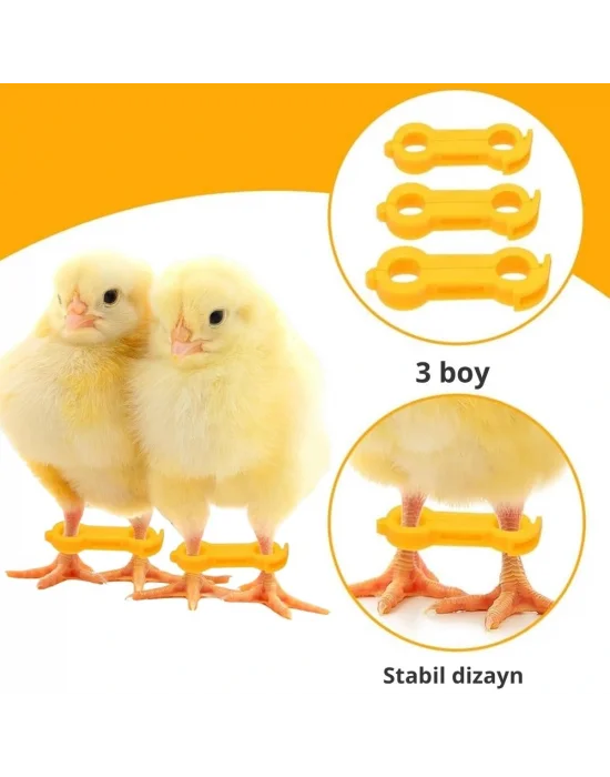 12 Adet Civciv Ayak Düzenleyici Aparat | Yeni Doğan Civcivlerde Ayrık Ayak Düzeltici, Kümes Hayvanı Yürüme Denge Aparatı