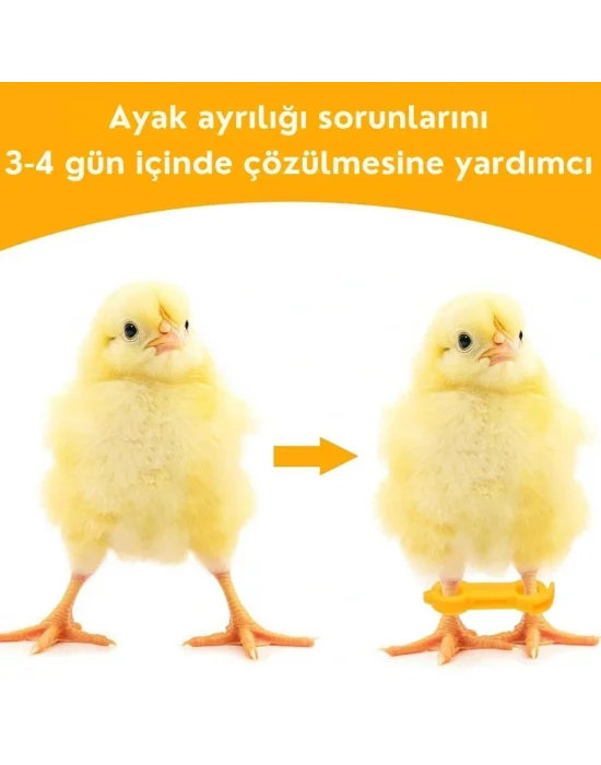 12 Adet Civciv Ayak Düzenleyici Aparat | Yeni Doğan Civcivlerde Ayrık Ayak Düzeltici, Kümes Hayvanı Yürüme Denge Aparatı