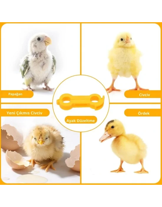 12 Adet Civciv Ayak Düzenleyici Aparat | Yeni Doğan Civcivlerde Ayrık Ayak Düzeltici, Kümes Hayvanı Yürüme Denge Aparatı