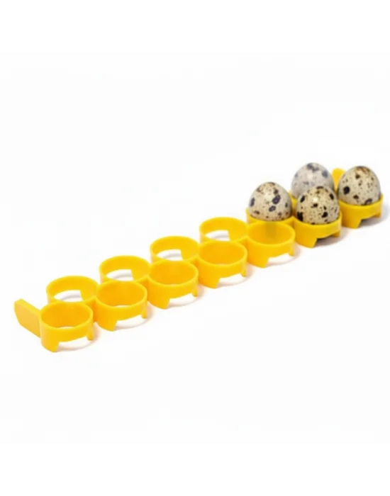 13 Gözlü Bıldırcın Yumurta Toplama Kanalı | Kolay Toplama ve Hijyen