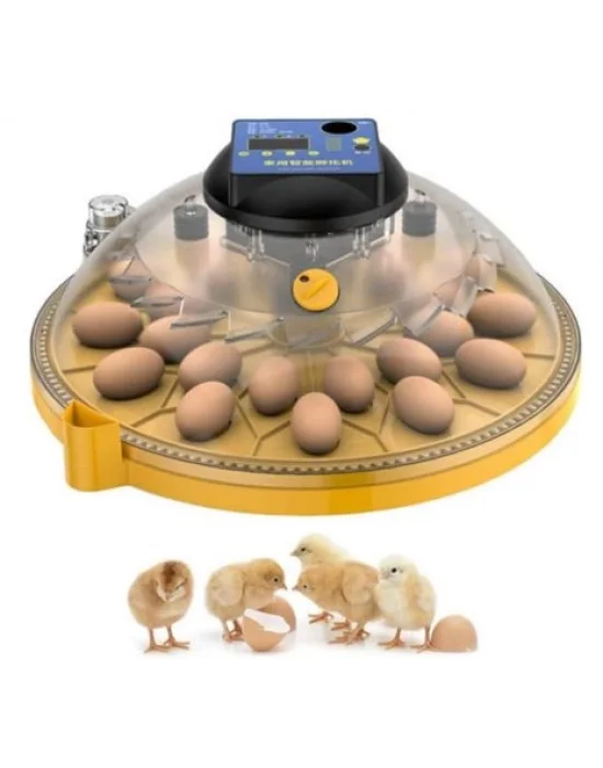 Evonest Evo-Ufo-48 Yumurta Kapasiteli UFO Model Ev Hobi Küçük Çiftlik Tam Otomatik Kuluçka Makinesi