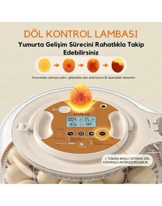 26–59 Kapasiteli Tam Otomatik Kuluçka Makinesi – 2 Değiştirilebilir Yumurta Tepsili, Dijital Kontrollü