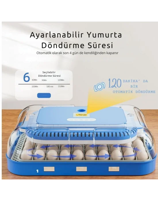 70 Yumurta Kapasiteli Tam Otomatik Kuluçka Makinesi – Nem Kontrollü, Kaz Uyumlu, Dijital Sistem