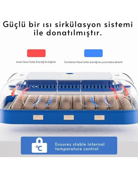 70 Yumurta Kapasiteli Tam Otomatik Kuluçka Makinesi – Nem Kontrollü, Kaz Uyumlu, Dijital Sistem