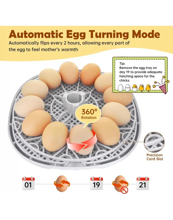 12 Kapasiteli Kuluçka Makinesi, Otomatik Yumurta Çevirime Akıllı kuluçka makinesi