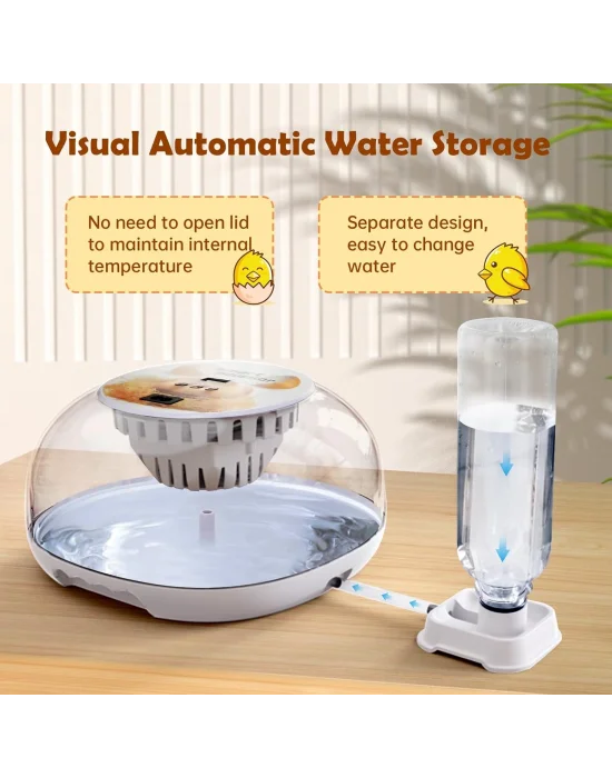 12 Kapasiteli Kuluçka Makinesi, Otomatik Yumurta Çevirime Akıllı kuluçka makinesi