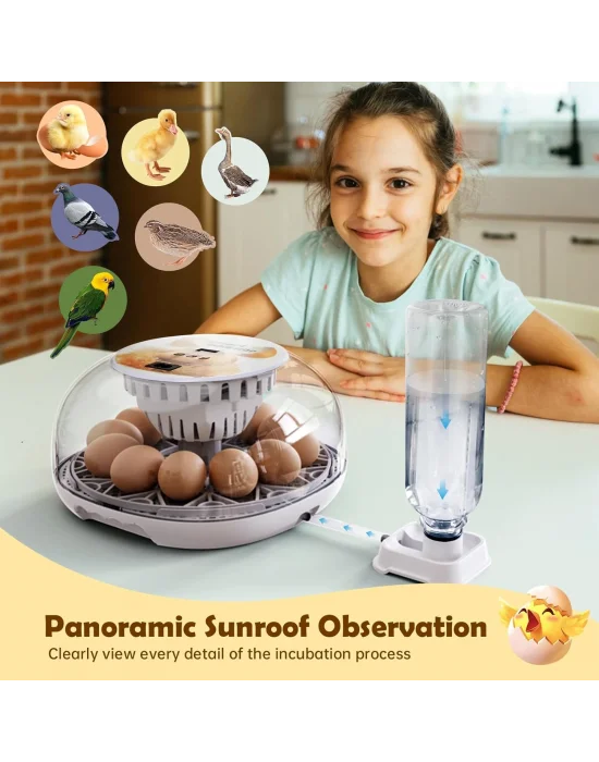12 Kapasiteli Kuluçka Makinesi, Otomatik Yumurta Çevirime Akıllı kuluçka makinesi