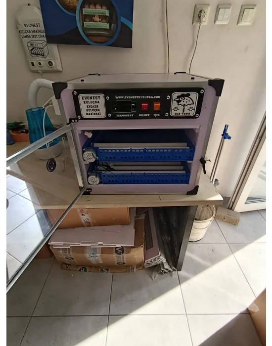 Emko 3722 Yerli Kuluçka Makinesi | SSR Röle Termostatlı Kabin Tip, Kaz Uyumlu