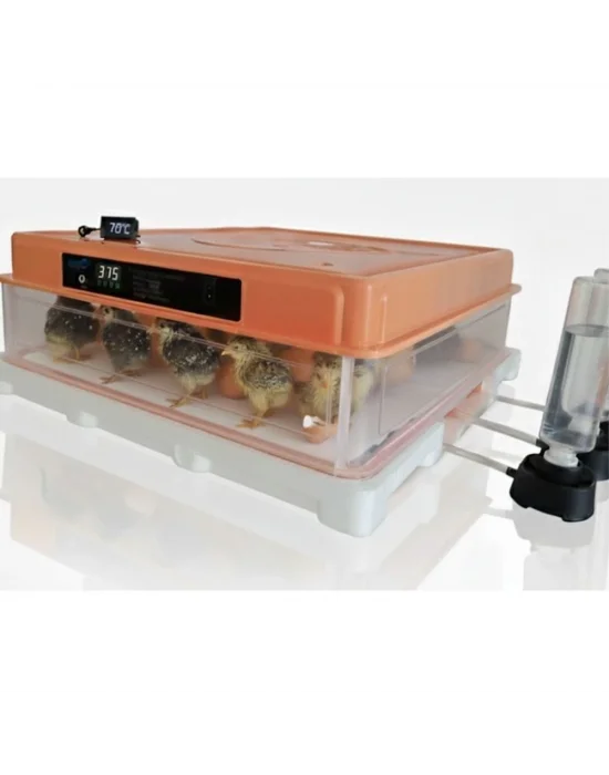 Evonest 120 Yumurtalık Kuluçka Makinesi | Turuncu Renk