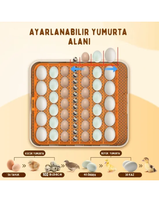 Evonest 56 Yumurtalık Kuluçka Makinesi | Turuncu Model