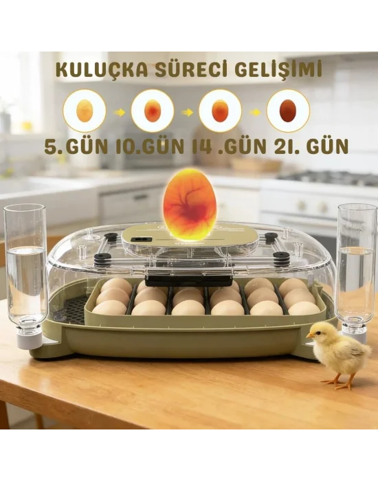 24 Yumurta Kapasiteli Kuluçka Makinesi, Otomatik Çevirme, Isı & Nem Kontrolü, 360° Görüş, Tavuk-Ördek-Bıldırcın-Kaz için