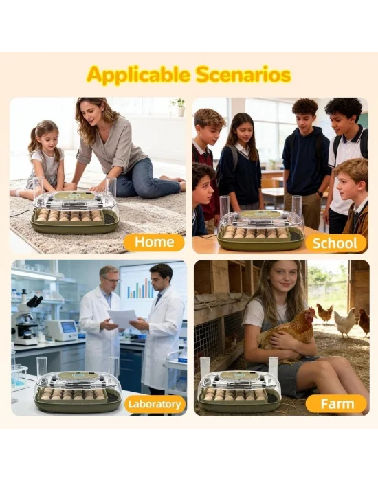 24 Yumurta Kapasiteli Kuluçka Makinesi, Otomatik Çevirme, Isı & Nem Kontrolü, 360° Görüş, Tavuk-Ördek-Bıldırcın-Kaz için