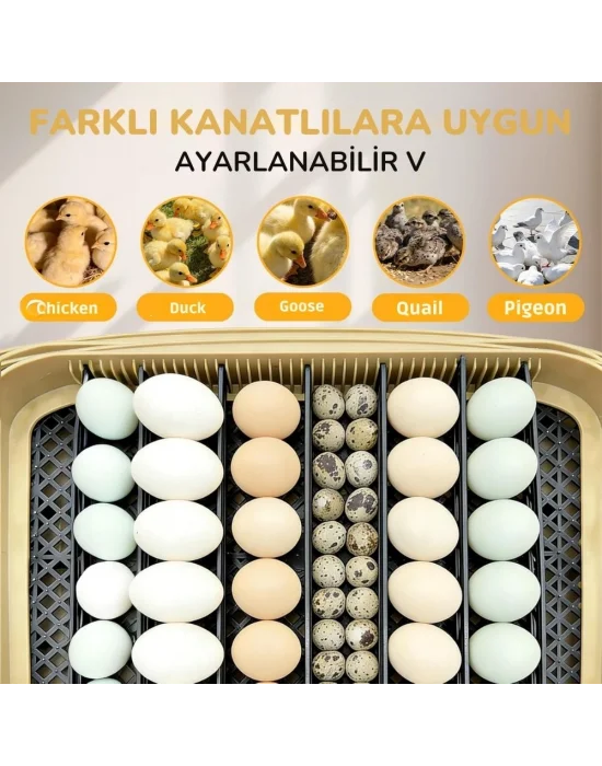 24 Yumurta Kapasiteli Kuluçka Makinesi, Otomatik Çevirme, Isı & Nem Kontrolü, 360° Görüş, Tavuk-Ördek-Bıldırcın-Kaz için