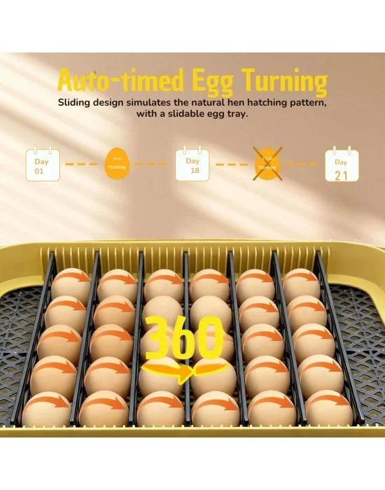 24 Yumurta Kapasiteli Kuluçka Makinesi, Otomatik Çevirme, Isı & Nem Kontrolü, 360° Görüş, Tavuk-Ördek-Bıldırcın-Kaz için