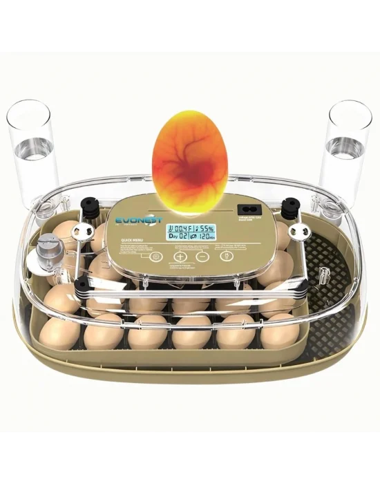 24 Yumurta Kapasiteli Kuluçka Makinesi, Otomatik Çevirme, Isı & Nem Kontrolü, 360° Görüş, Tavuk-Ördek-Bıldırcın-Kaz için