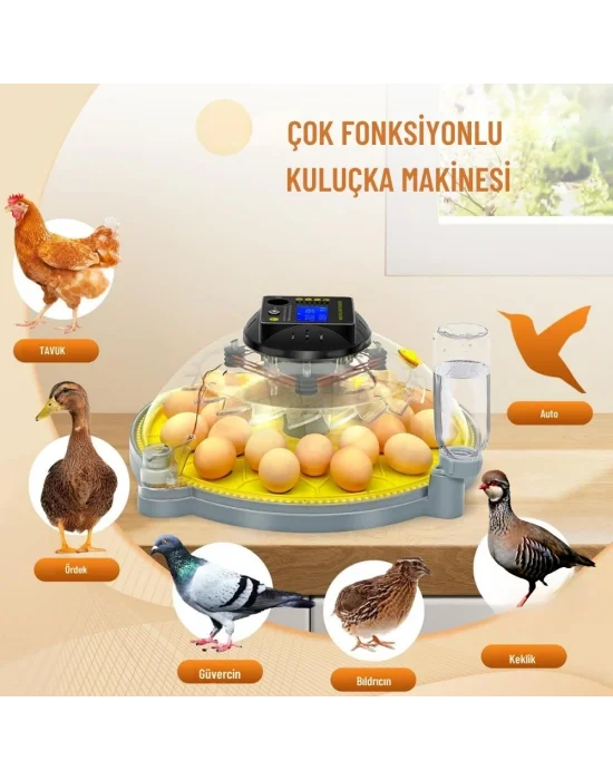 Evonest Evo-UFO-48 | 48 Yumurtalık UFO Model Tam Otomatik Kuluçka Makinesi