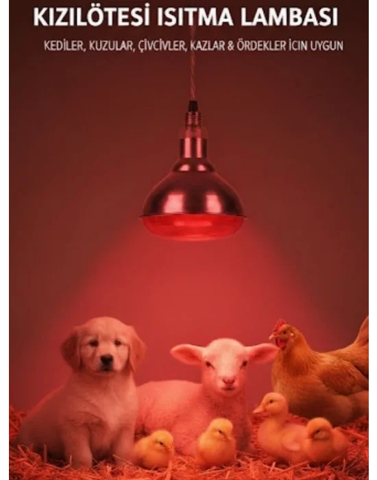 Evonest Infrared Kümes Isıtıcı Lamba 250W | Sadece Lamba