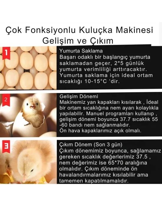 Evonest Kaz Uyumlu Kabin Tip Kuluçka Makinesi | 128 Yumurtalık Kapasiteli