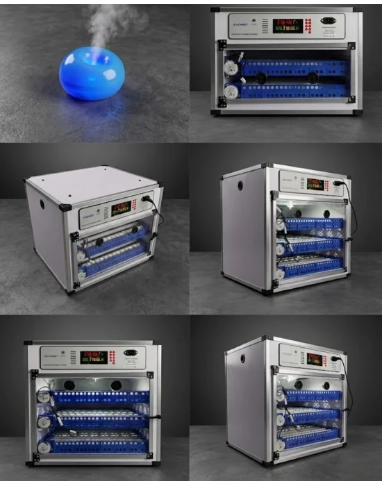 Evonest Kaz Uyumlu Kabin Tip Kuluçka Makinesi | 128 Yumurtalık Kapasiteli