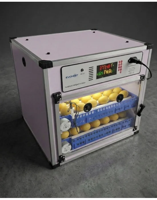 Evonest Kaz Uyumlu Kabin Tip Kuluçka Makinesi | 128 Yumurtalık Kapasiteli