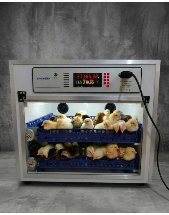Evonest Kaz Uyumlu Kabin Tip Kuluçka Makinesi | 128 Yumurtalık Kapasiteli