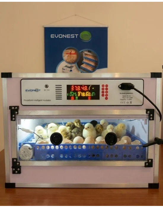 Evonest Kaz Uyumlu Kabin Tip Kuluçka Makinesi | 64 Yumurtalık Kapasiteli