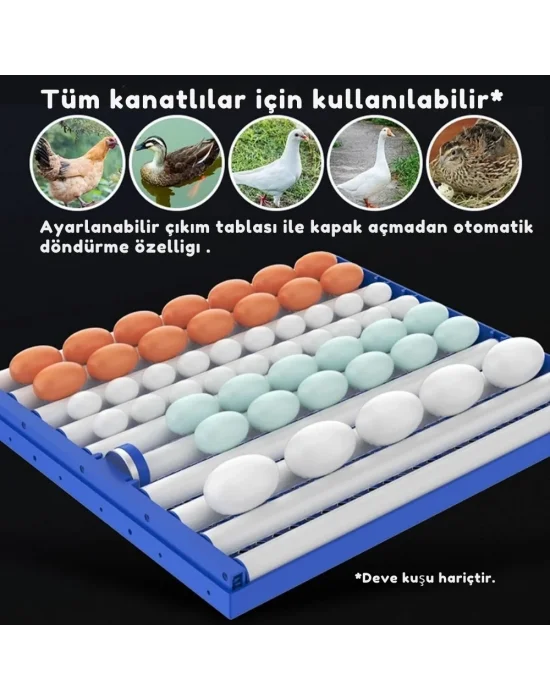 Evonest Kaz Uyumlu Kabin Tip Kuluçka Makinesi | 64 Yumurtalık Kapasiteli