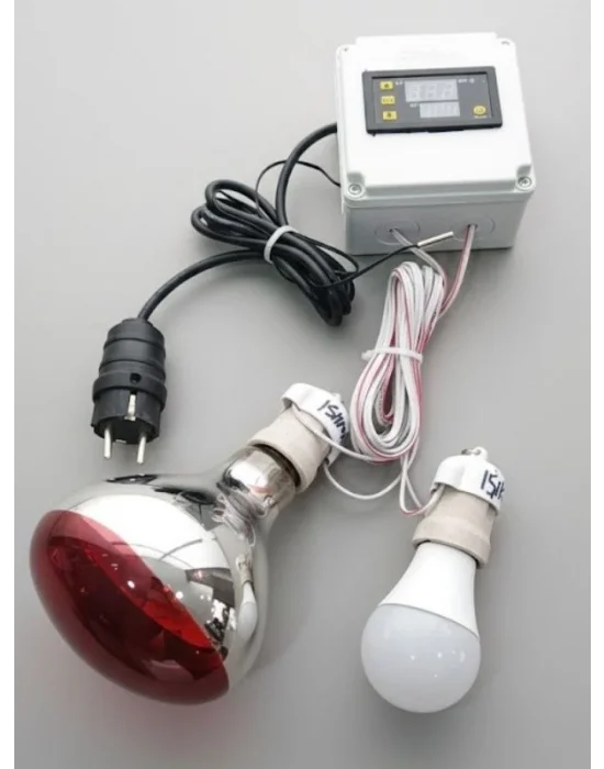 Evonest Kümes Isıtıcı Set | 1x250W Infrared Isıtıcı, Dijital Termostat ve 1 Aydınlatma