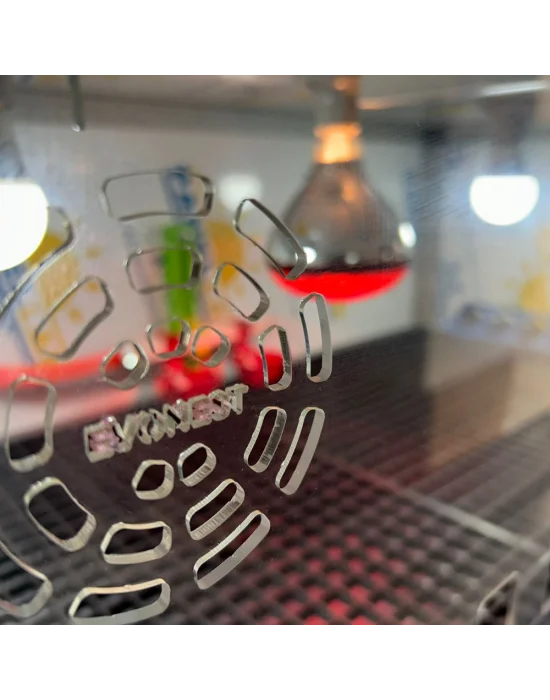 Evonest Lüks Civciv Büyütme Kafesi – Dijital Termostatlı, Infrared Isıtıcılı, Otomatik Suluklu 105x55x45 cm