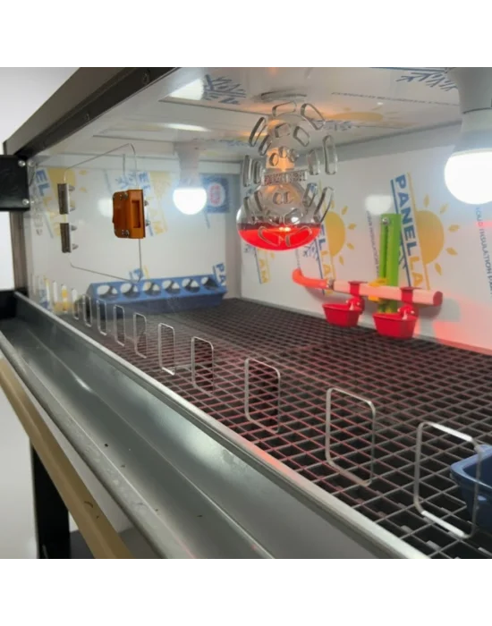 Evonest Lüks Civciv Büyütme Kafesi – Dijital Termostatlı, Infrared Isıtıcılı, Otomatik Suluklu 105x55x45 cm