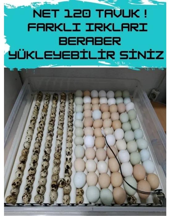 Gfallx Kalibre Cihazlı Beyaz Kaz Uyumlu 120 Yumurtalık Otomatik Kuluçka Makinesi