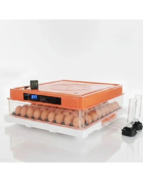 Kamera İlaveli Evonest 120 Yumurtalık Kuluçka Makinesi Otomatik Isı, Nem ve Çevirme Kontrolü
