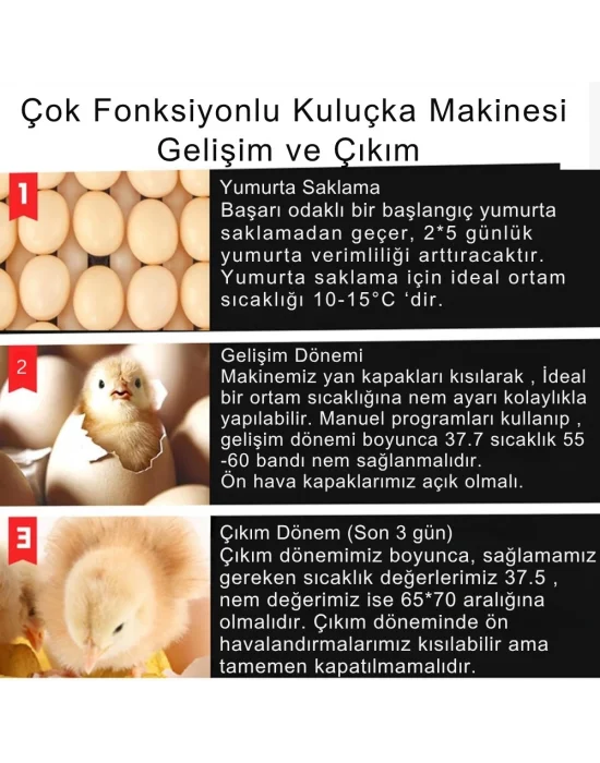 Kaz Uyumlu Kabin Tip Kuluçka Makinesi | 196 Yumurtalık Kapasiteli