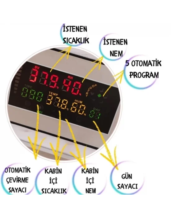 Kaz Uyumlu Kabin Tip Kuluçka Makinesi | 196 Yumurtalık Kapasiteli